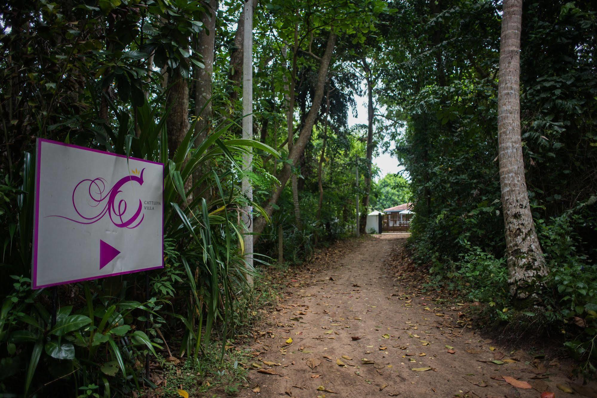 Cattleya Villa Hikkaduwa Extérieur photo